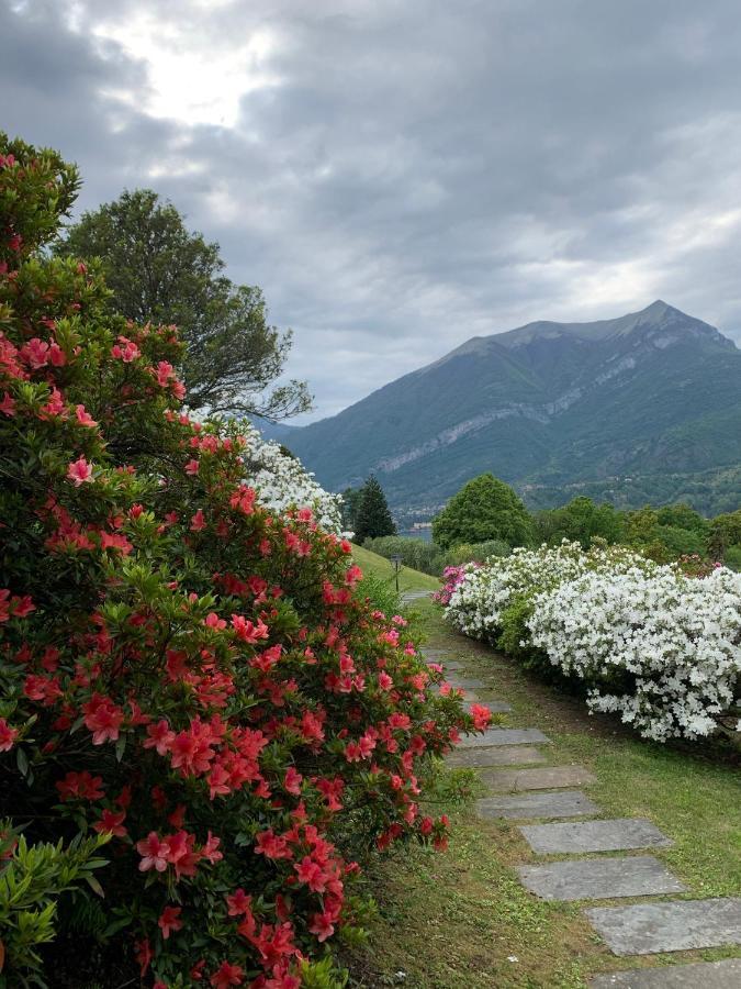 Il Poggio Di Bellagio 아파트 호텔 외부 사진