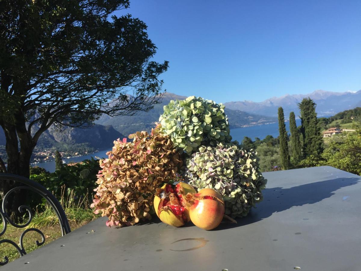 Il Poggio Di Bellagio 아파트 호텔 외부 사진
